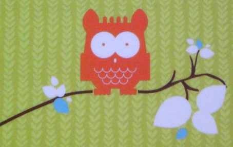 The Owl on branch